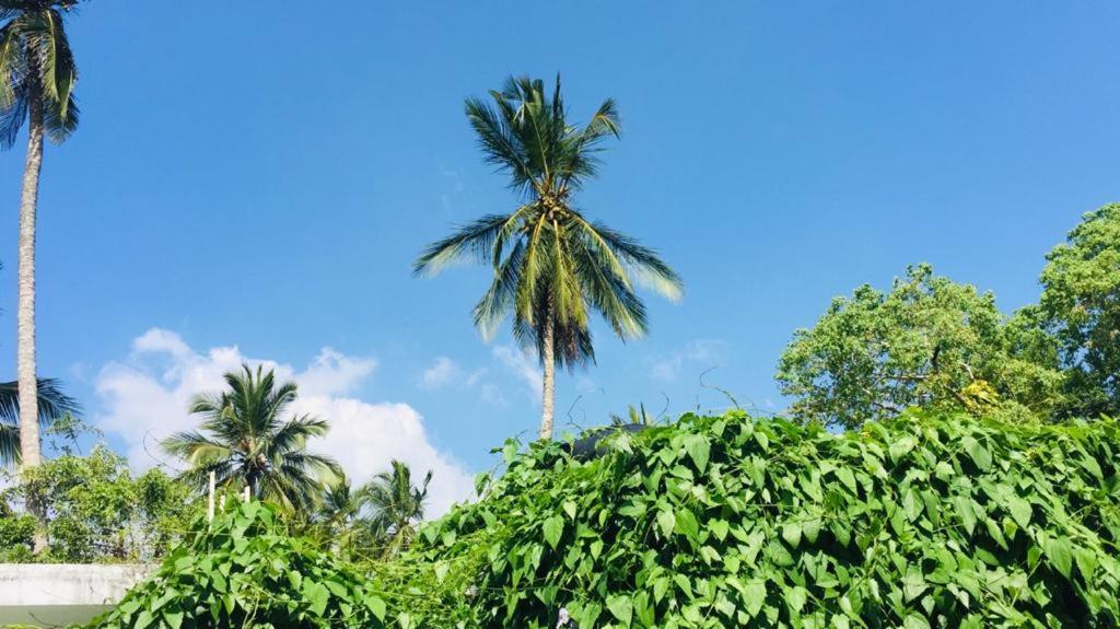 Villa Ceylon Home Унаватуна Экстерьер фото